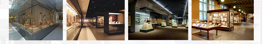 museum display showcases