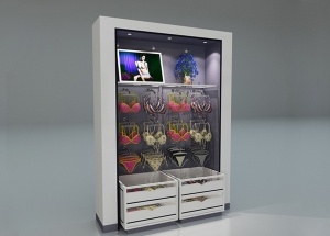 lingerie display