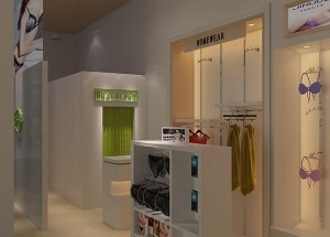 Fashion lingerie shop display with interior design