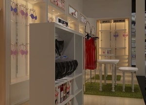 Fashion lingerie shop display with interior design